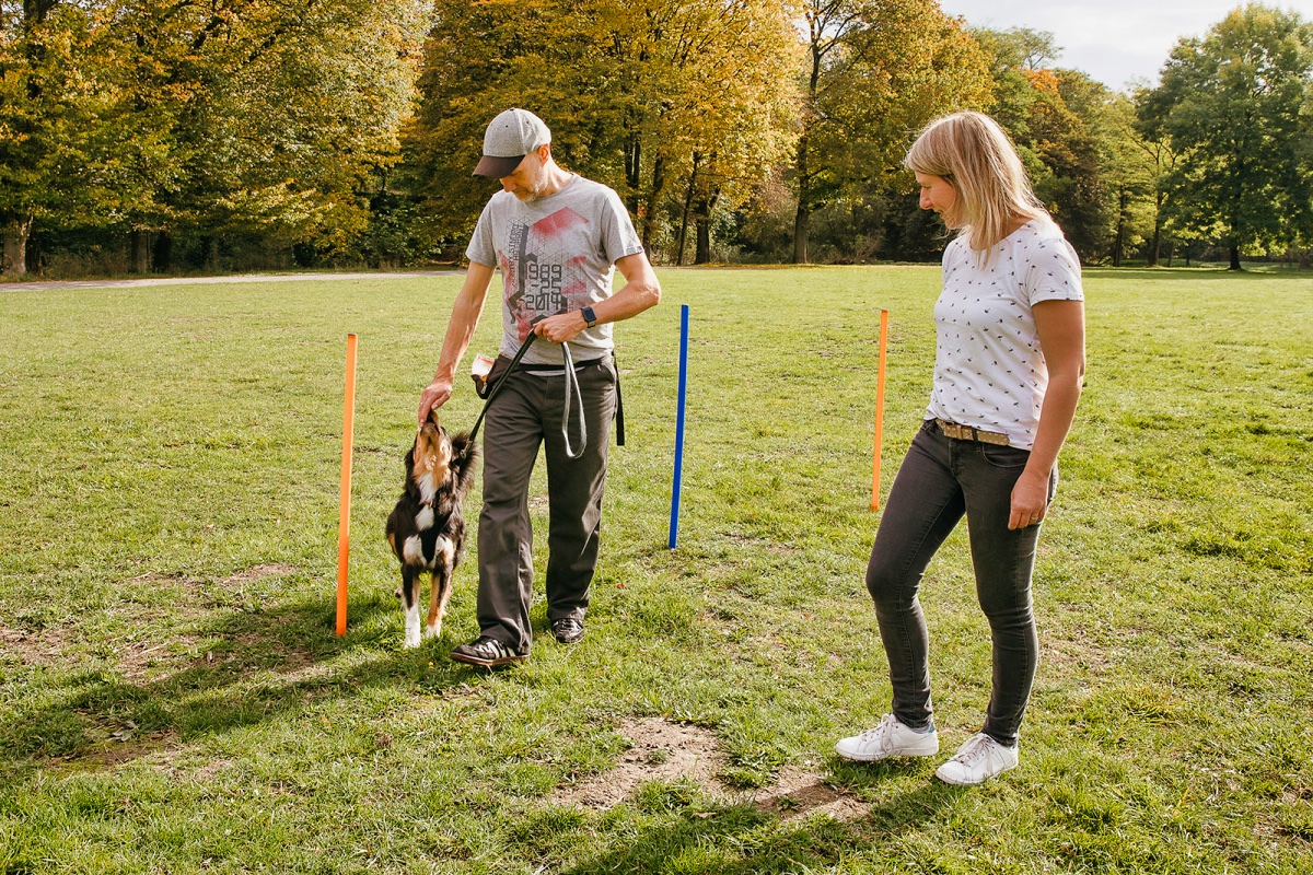 Hundetrainerin mit Klienten beim Training (Bei Fuß laufen)